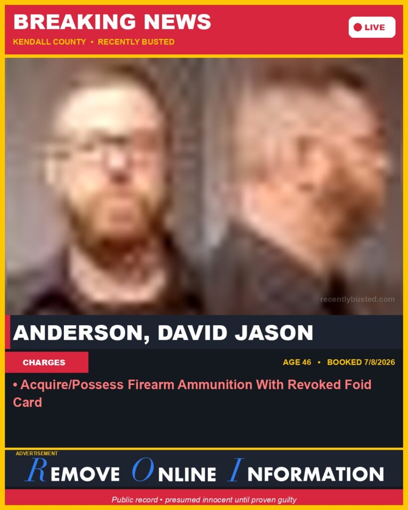 Booking photo of ANDERSON, DAVID JASON