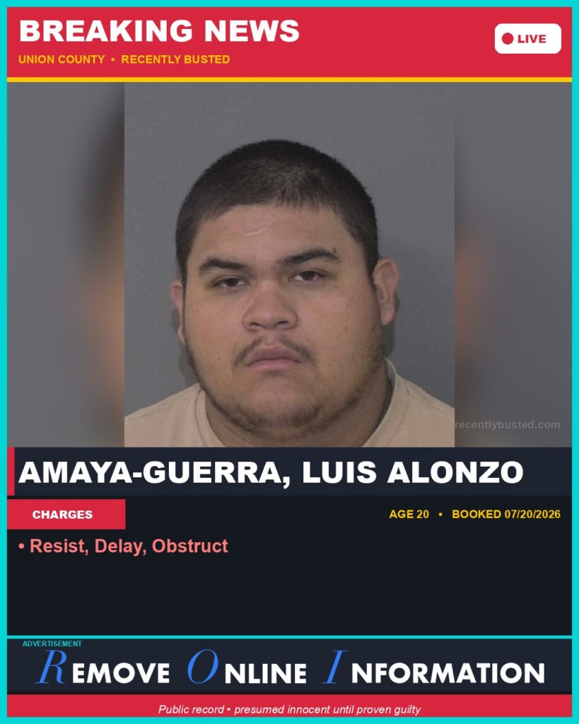 Booking photo of AMAYA-GUERRA, LUIS ALONZO