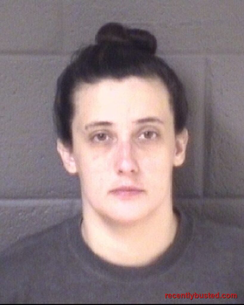 Booking photo of BRITTANY DAWN SCOTT