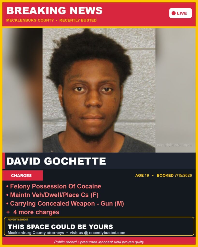 Booking photo of DAVID GOCHETTE