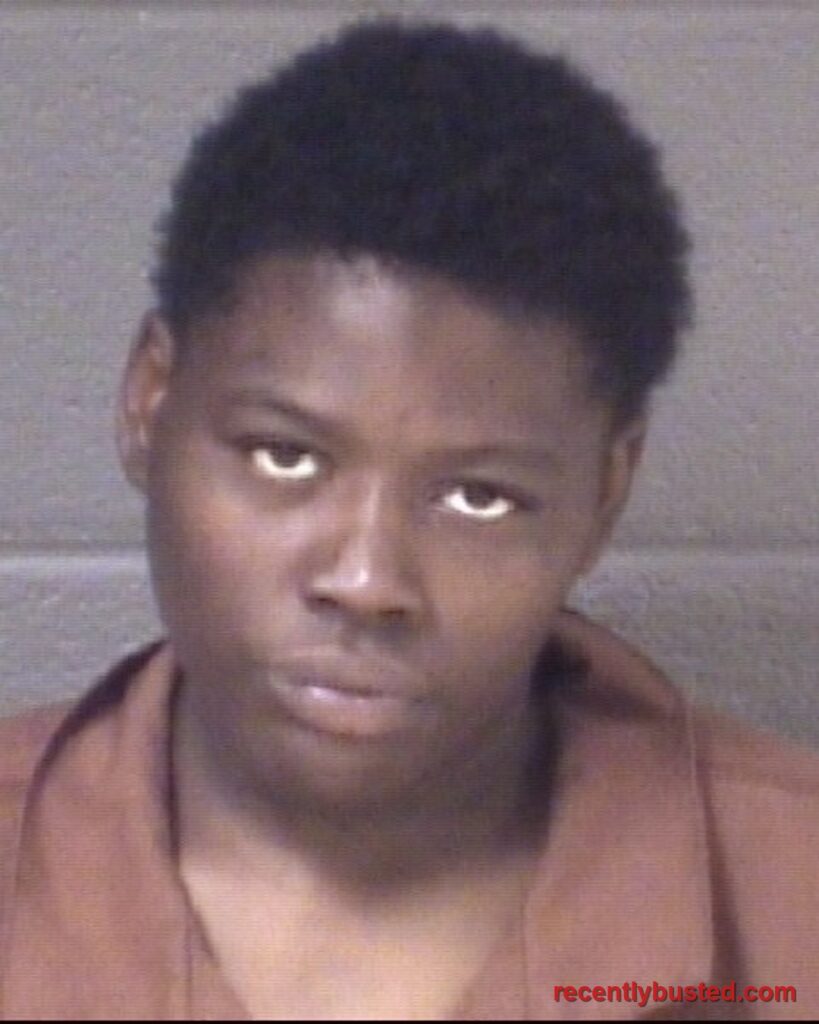 Booking photo of CHEYRAE ANN HOLLOWAY