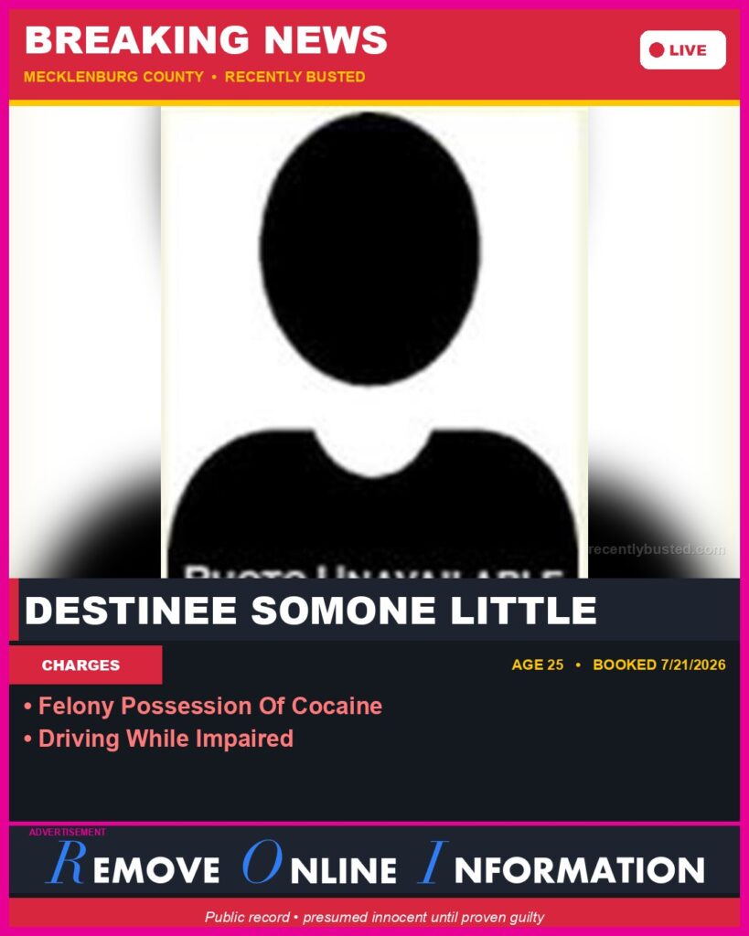 Booking photo of DESTINEE SOMONE LITTLE