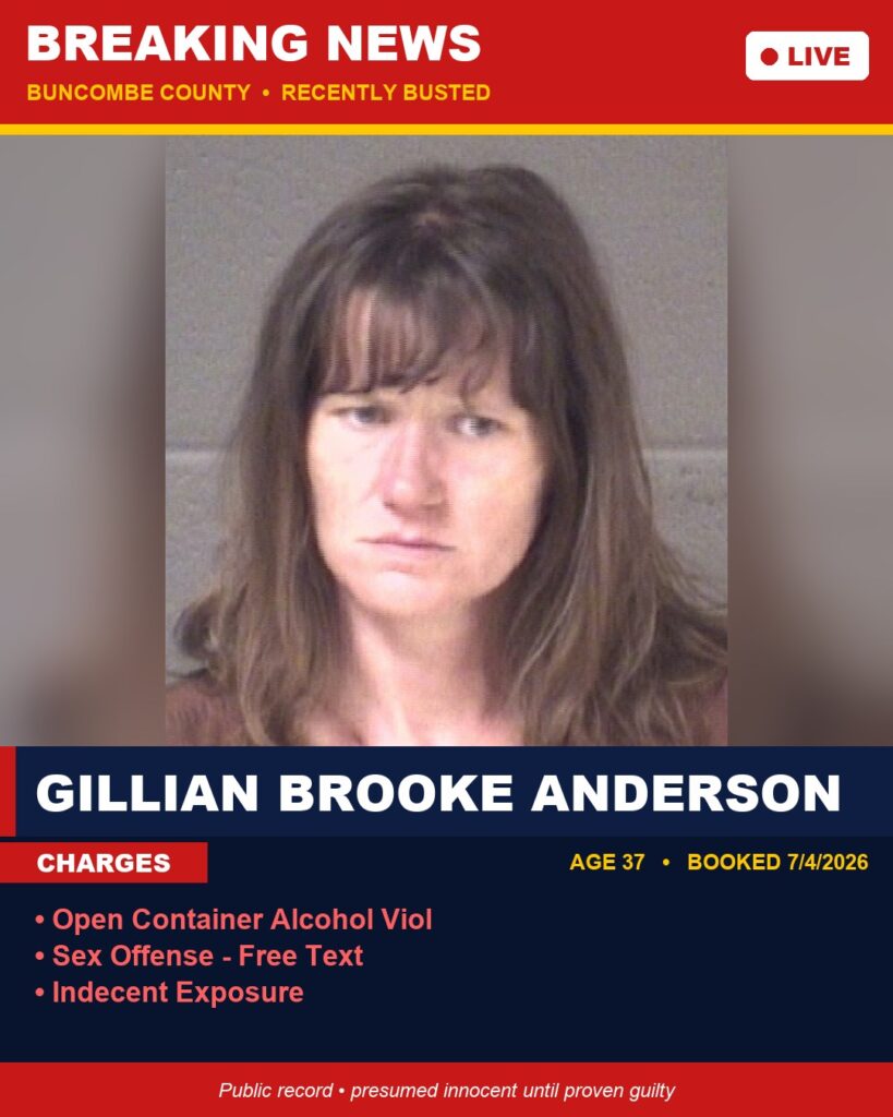 Booking photo of GILLIAN BROOKE ANDERSON