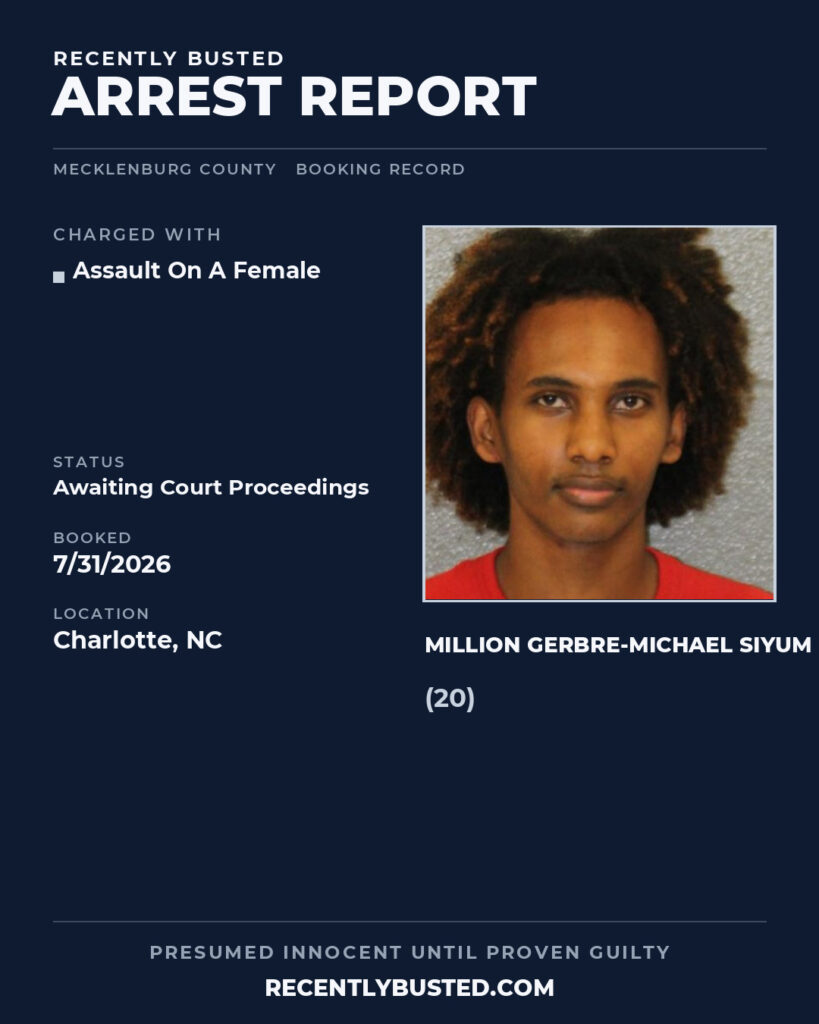 Arrest report - MILLION GERBRE-MICHAEL SIYUM