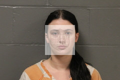 Mugshot of Wells, Alyssa Taylor