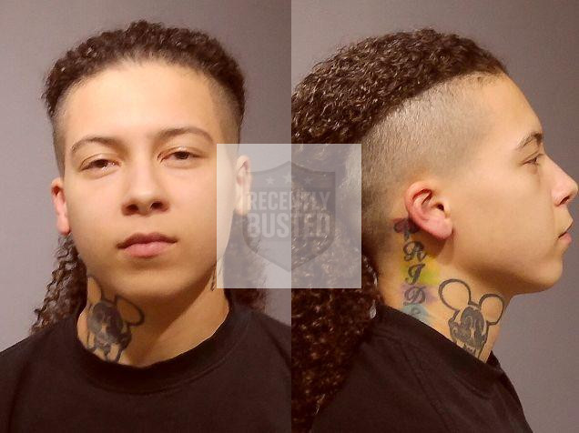 Mugshot of BEAUCHAMP, JOURNEY MARIE