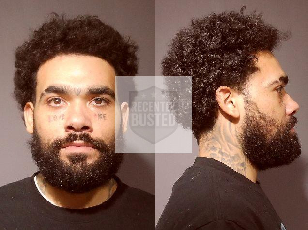 Mugshot of GOUGIS, MICHAEL ANTHONY