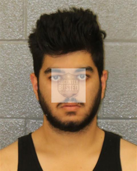 Mugshot of ANANDANI, PRANESH