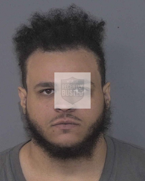 Mugshot of BURNS, NICKALIS DAVIONNE