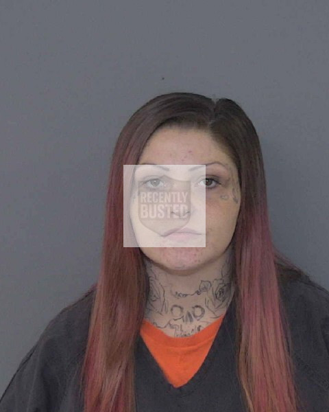 Mugshot of DAVIS, MISTY JANE