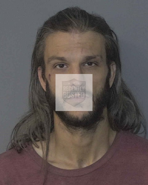 Mugshot of GURGANUS, BRANDON PAUL