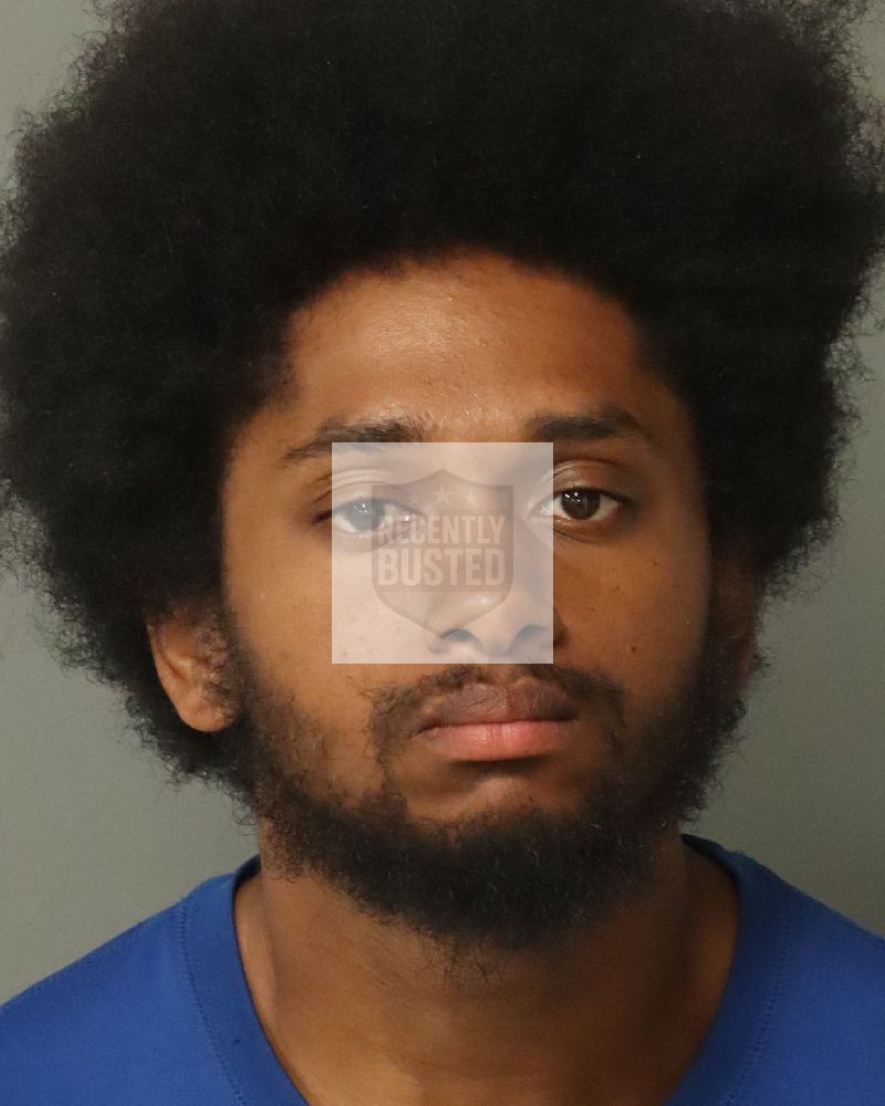 Mugshot of WILCOX, JONAS TREY
