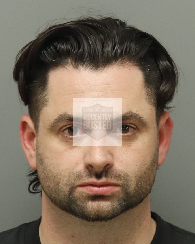 Mugshot of SANCES, MICHAEL EDWIN