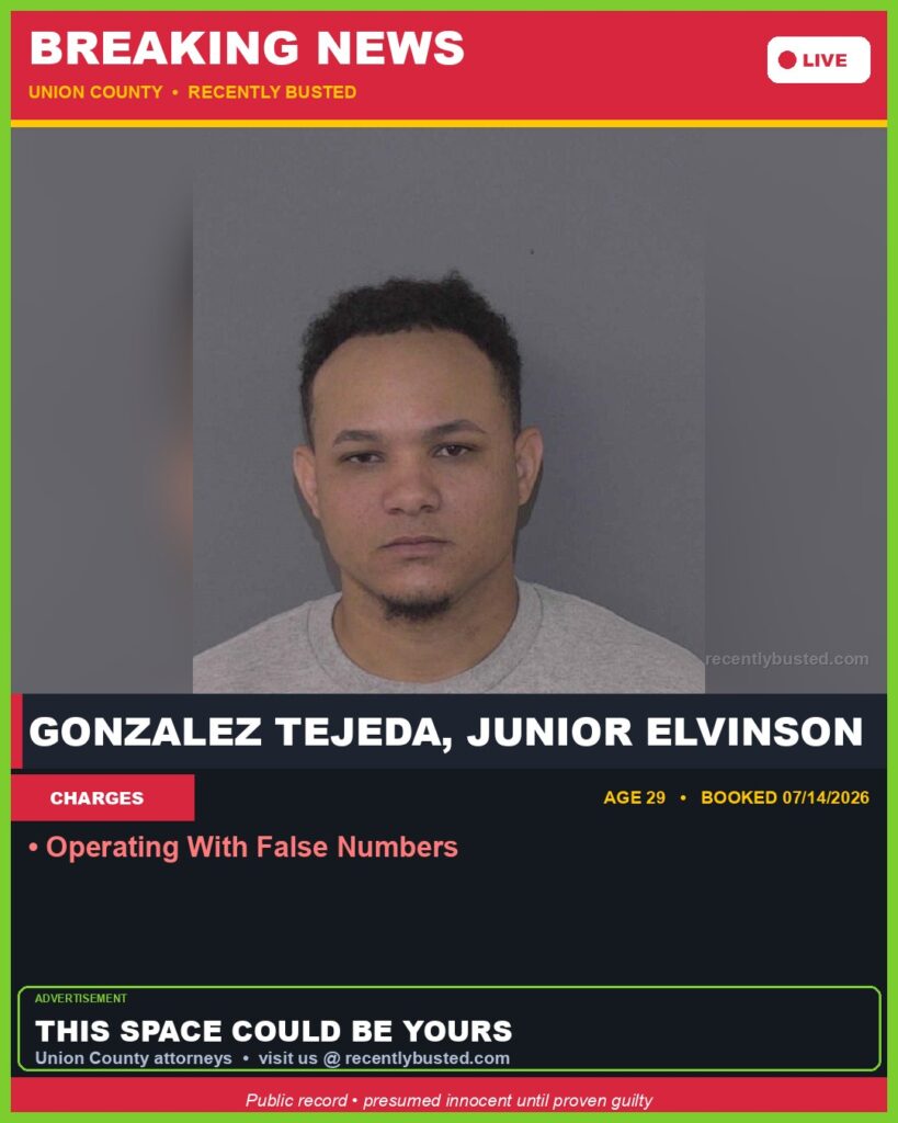 Booking photo of GONZALEZ TEJEDA, JUNIOR ELVINSON