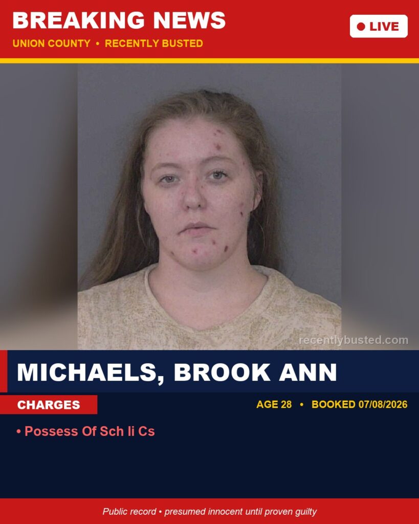 Booking photo of MICHAELS, BROOK ANN