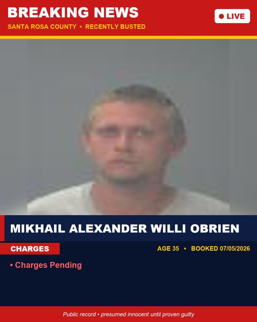 Arrest report - Mikhail Alexander Willi Obrien