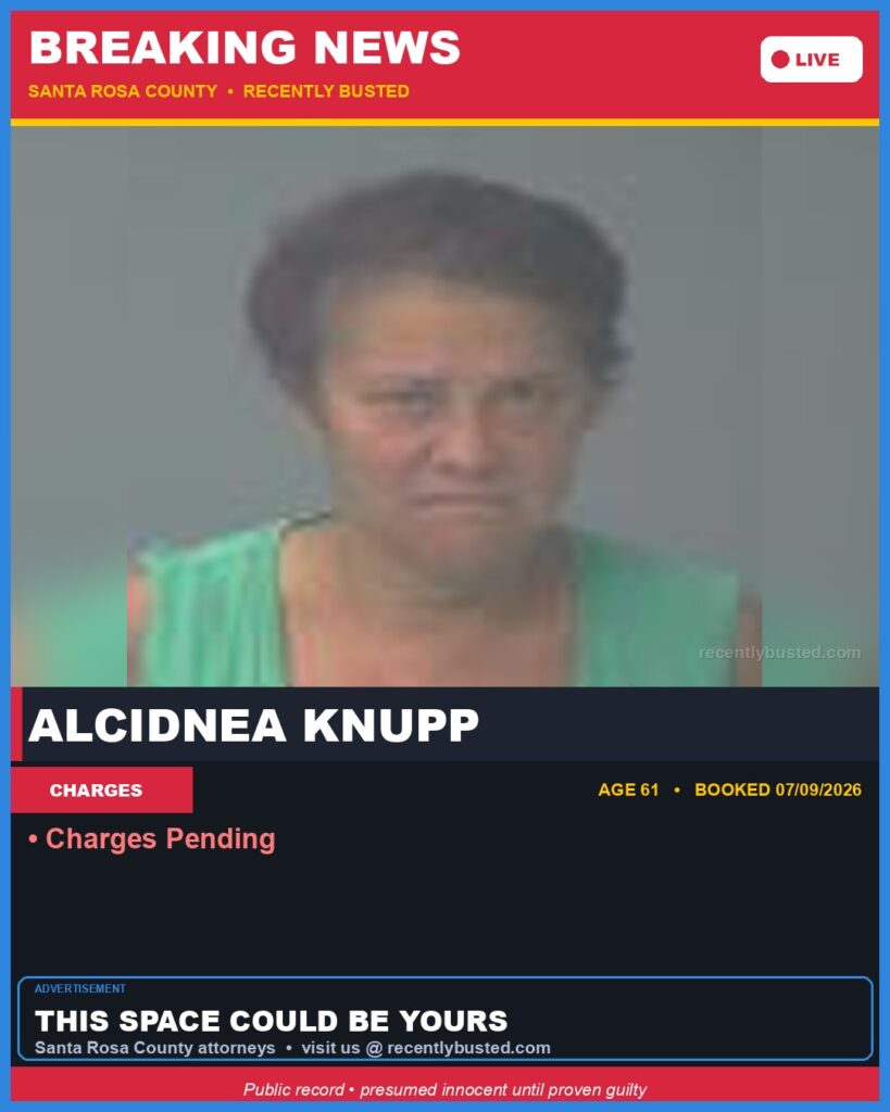 Arrest report - Alcidnea Knupp