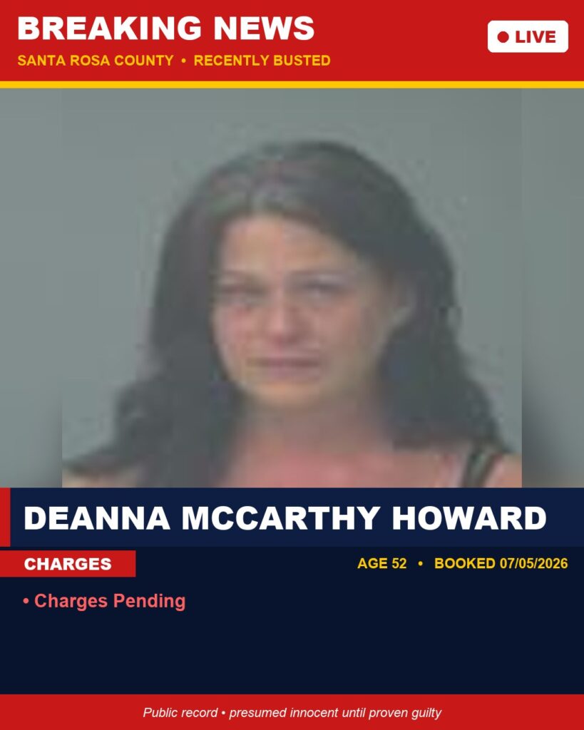 Arrest report - Deanna Mccarthy Howard