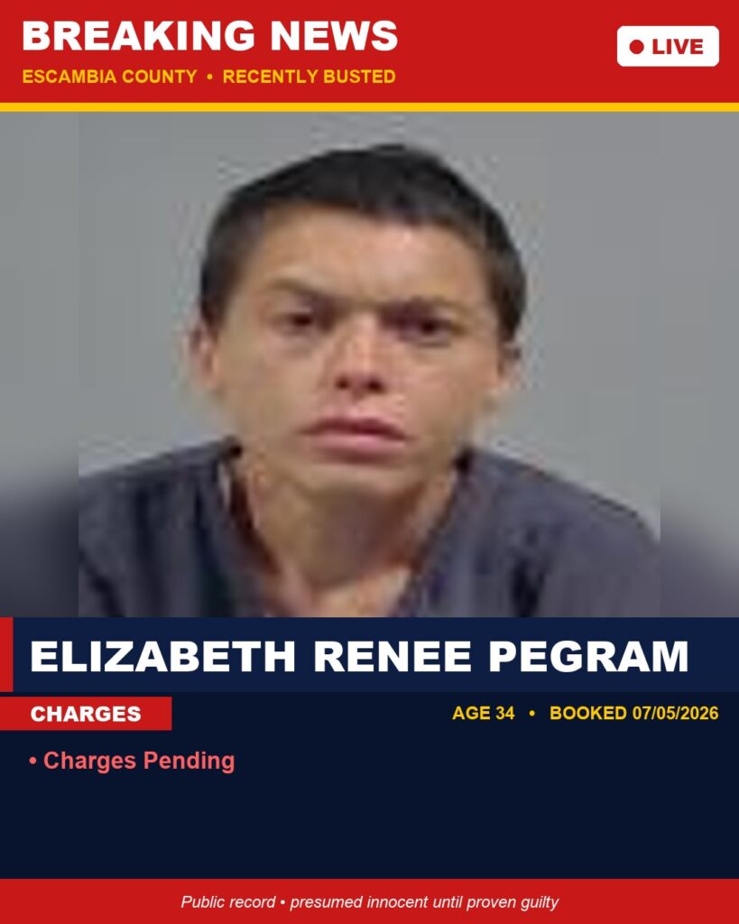 Arrest report - Elizabeth Renee Pegram