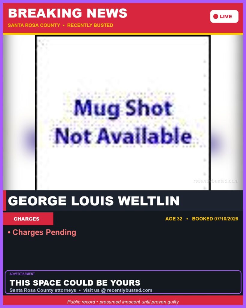 Arrest report - George Louis Weltlin