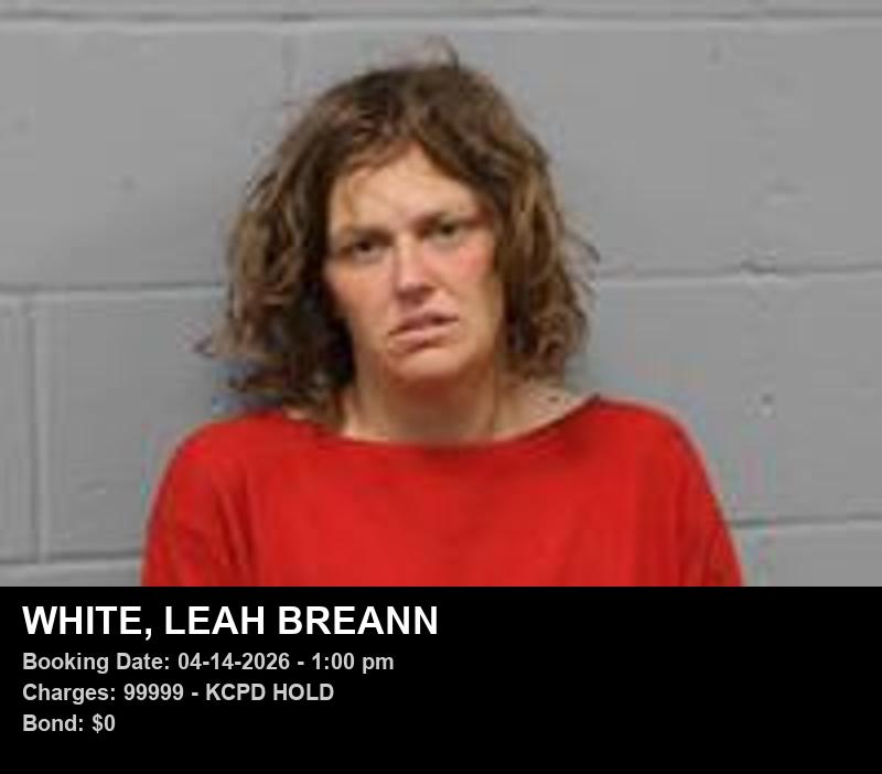 Arrest report - LEAH BREANN WHITE