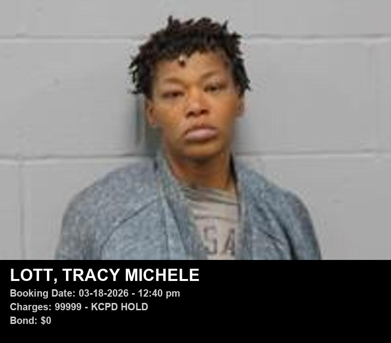 Arrest report - TRACY MICHELE LOTT