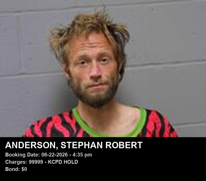 Arrest report - STEPHAN ROBERT ANDERSON