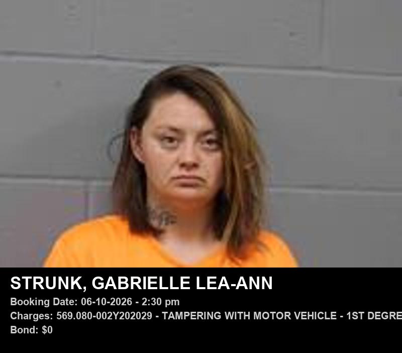 Arrest report - GABRIELLE LEA-ANN STRUNK