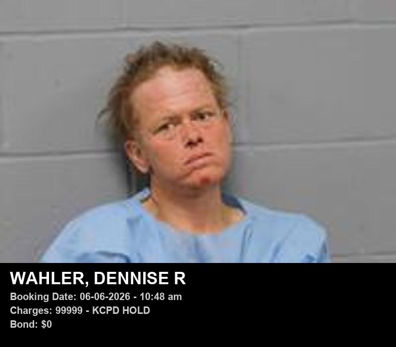 Arrest report - DENNISE R WAHLER