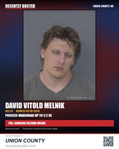 MELNIK, DAVID VITOLD