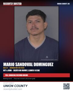 SANDOVAL DOMINGUEZ, MARIO